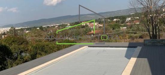 Διαμορφωση Εξωτερικου Χωρου Πανοραμα Θεσσαλονικης - Ανακαίνιση Τώρα, Θεσσαλονίκη